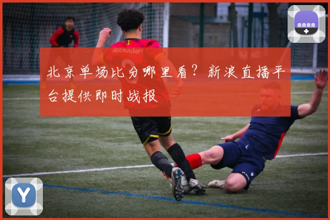 北京单场比分哪里看？新浪直播平台提供即时战报
