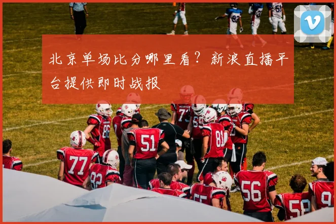 北京单场比分哪里看？新浪直播平台提供即时战报